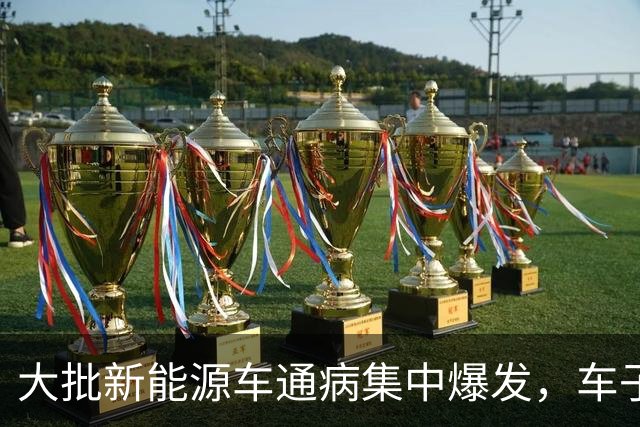 大批新能源车通病集中爆发，车子开着没毛病，电池却直接报废
