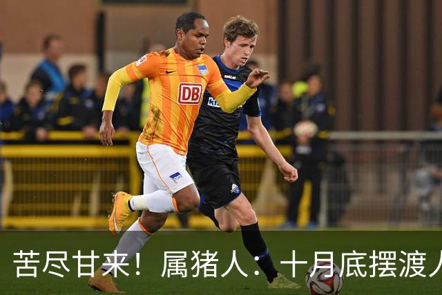 苦尽甘来！属猪人：十月底"摆渡人"悄然降临