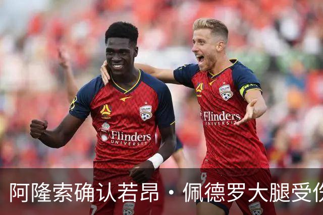 阿隆索确认若昂·佩德罗大腿受伤,切尔西将缺阵数周